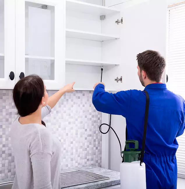 Why Ann Arbor Property Owners Choose Ann Arbor Pest Control Pros for Ground Bee Removal?