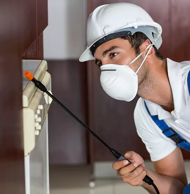 Why Ann Arbor Homeowners Rely on Ann Arbor Pest Control Pros for Tick Treatment?