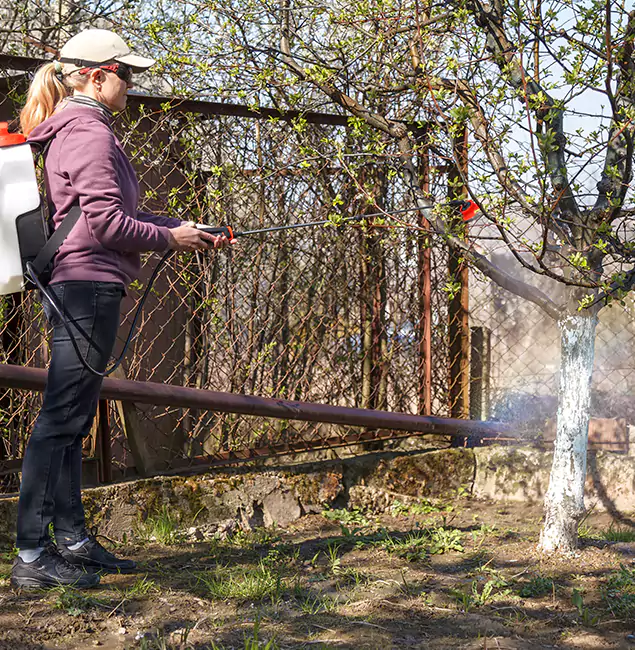 Why Ann Arbor Homeowners Choose Ann Arbor Pest Control Pros for Mosquito Abatement?