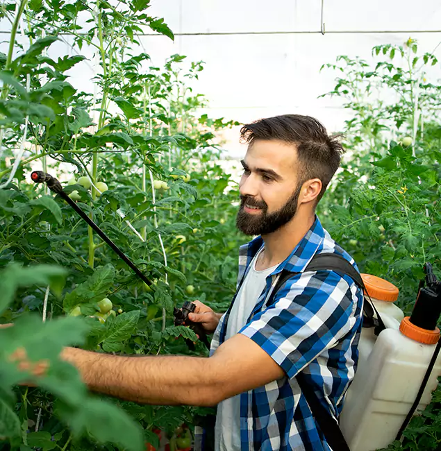 Why Ann Arbor Homeowners Choose Ann Arbor Pest Control Pros for Mosquito Spraying?