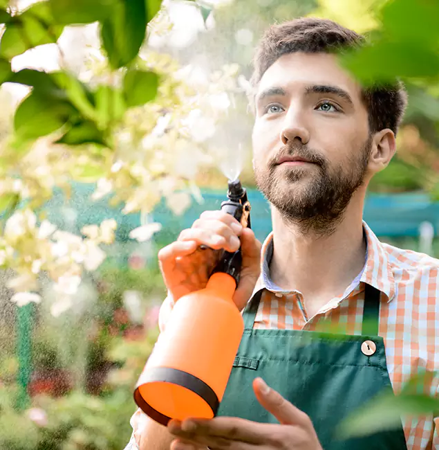 Why Ann Arbor Homeowners Call Ann Arbor Pest Control Pros for Mosquitoes in House?