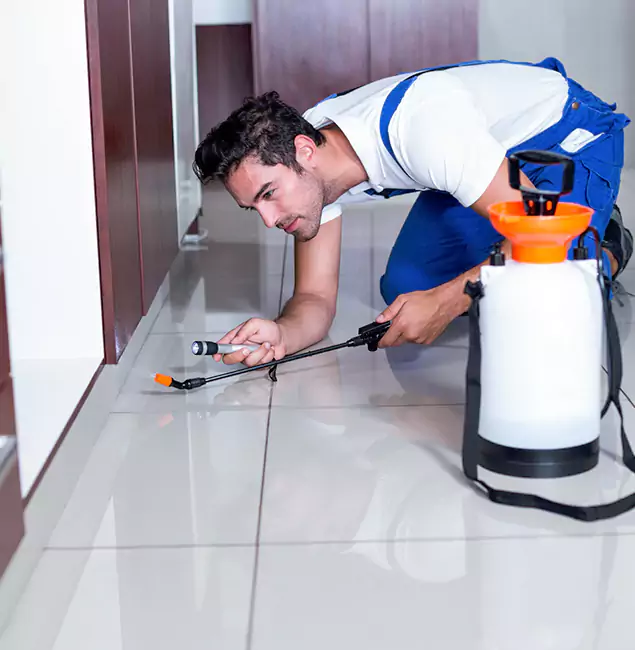 Why Ann Arbor Pest Control Pros Is the Proven Choice in Ann Arbor, MI?