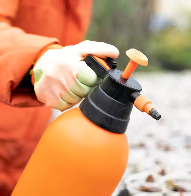 Why Choose Ann Arbor Pest Control Pros for Orange Termite Treatment in Ann Arbor, MI?