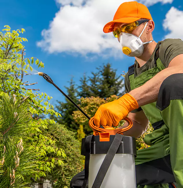 Why Choose Ann Arbor Pest Control Pros for Outdoor Pest Control in Ann Arbor, MI?