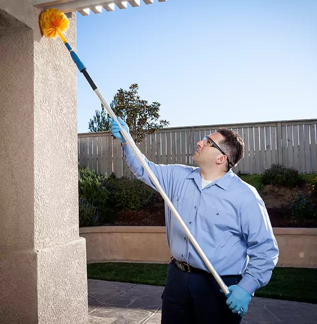 Why Choose Ann Arbor Pest Control Pros for Pest Control Services in Ann Arbor, MI?