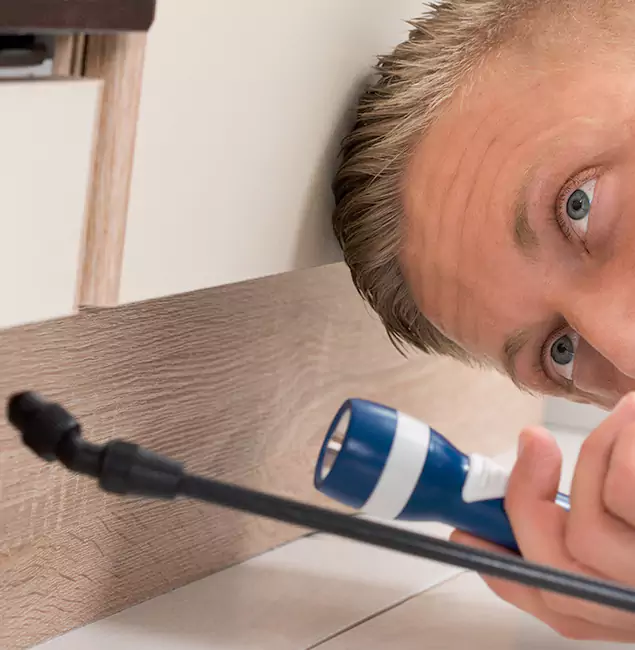 Why Choose Ann Arbor Pest Control Pros for Rodent Exterminator in Ann Arbor, MI?