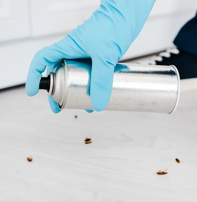 Why Choose Ann Arbor Pest Control Pros for Safe Bed Bug Treatment in Ann Arbor, MI?