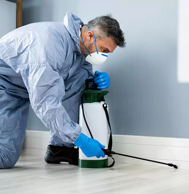 Why Choose Ann Arbor Pest Control Pros for Subterranean Termites Treatment in Ann Arbor, MI?