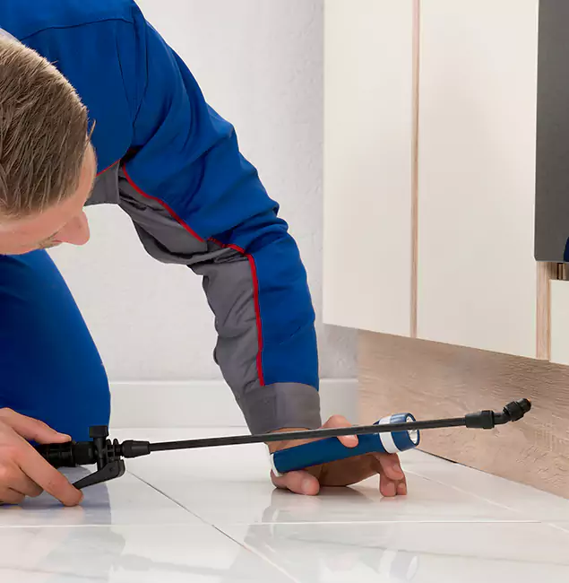 Why Ann Arbor Residents Choose Ann Arbor Pest Control Pros to Get Rid of Sugar Ants?