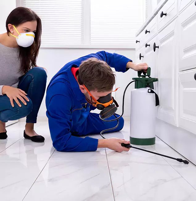 Why Choose Wood Termite Treatment by Ann Arbor Pest Control Pros in Ann Arbor, MI?