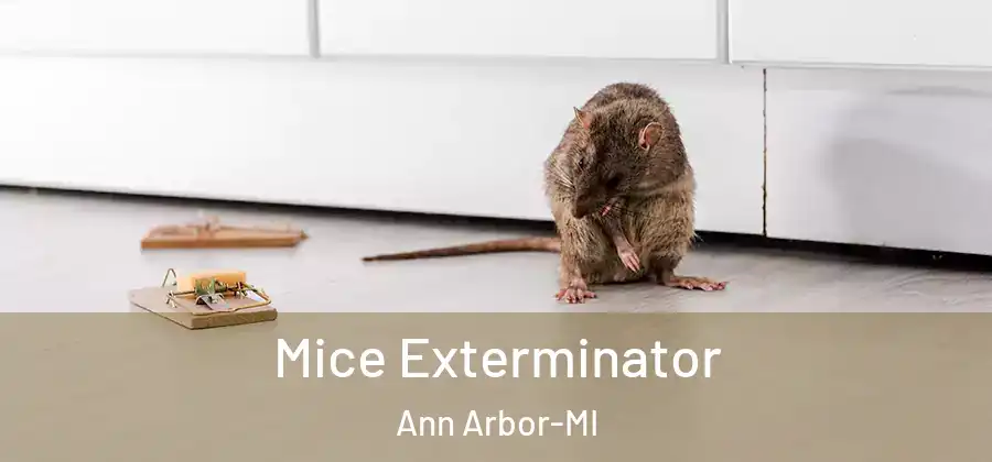 Mice Exterminator Ann Arbor-MI