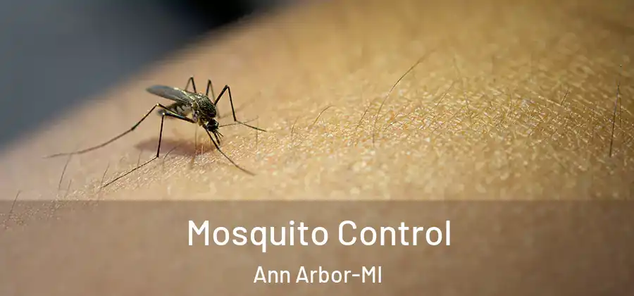 Mosquito Control Ann Arbor-MI