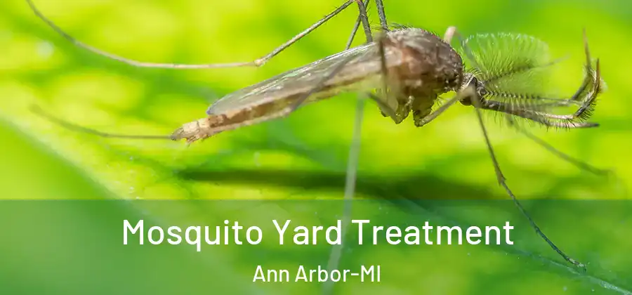  Mosquito Yard Treatment Ann Arbor-MI