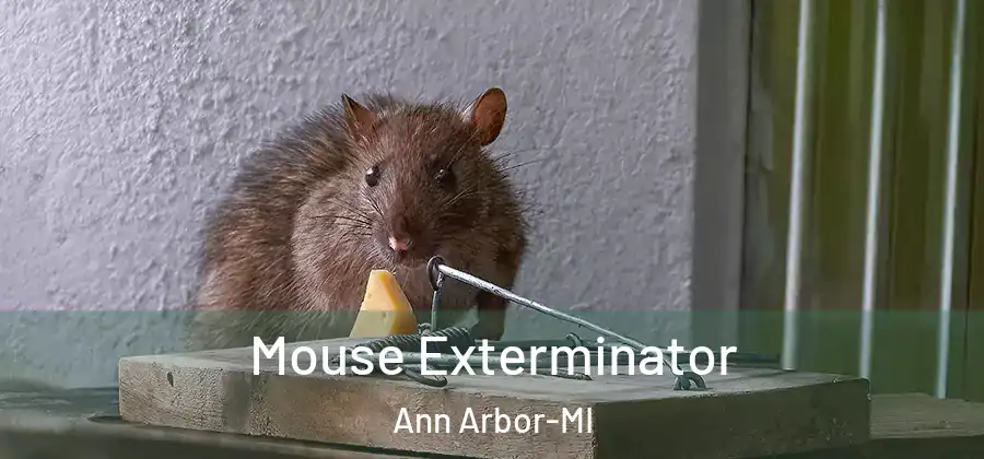 Mouse Exterminator Ann Arbor-MI