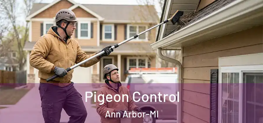 Pigeon Control Ann Arbor-MI