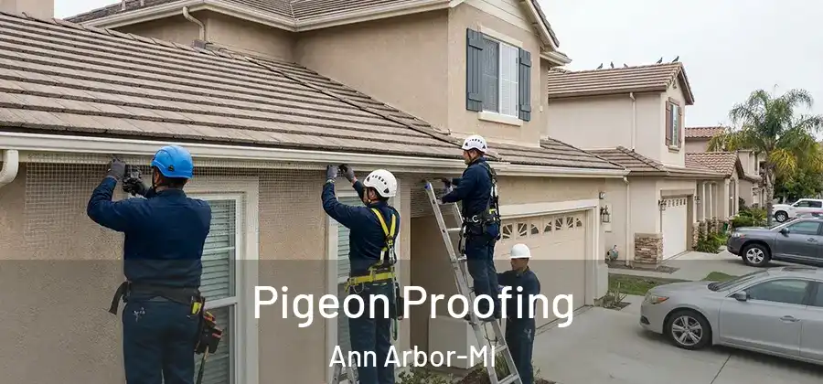Pigeon Proofing Ann Arbor-MI