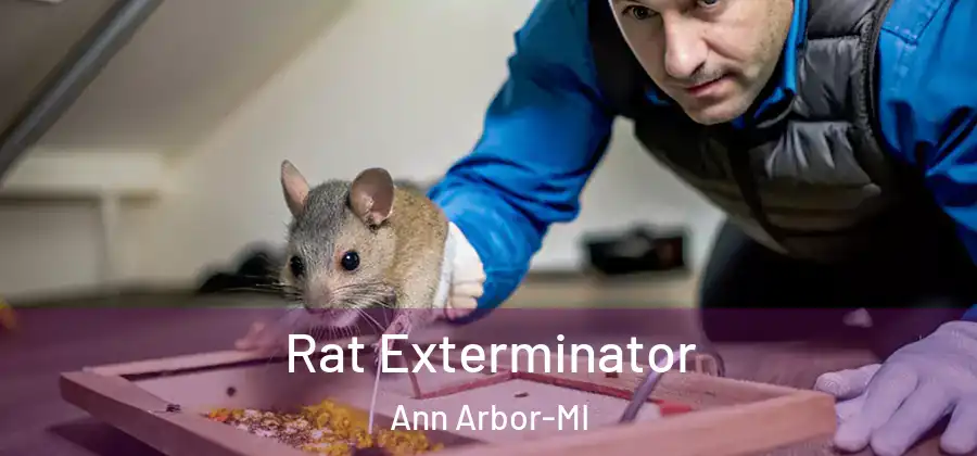 Rat Exterminator Ann Arbor-MI