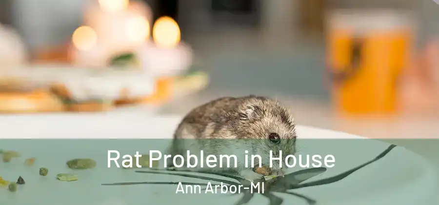  Rat Problem in House Ann Arbor-MI