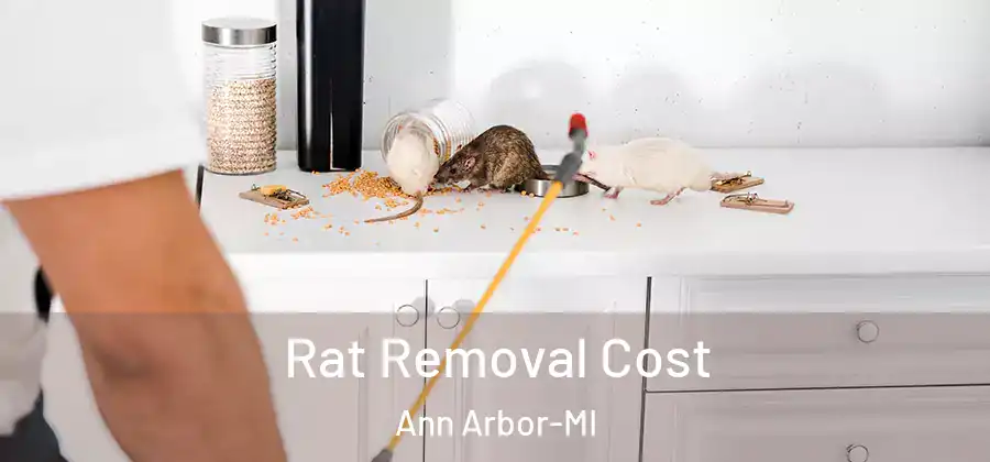 Rat Removal Cost Ann Arbor-MI