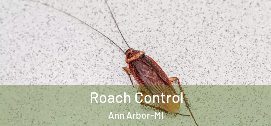  Roach Control Ann Arbor-MI