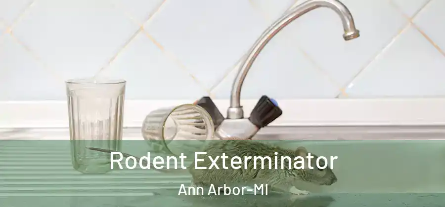  Rodent Exterminator Ann Arbor-MI