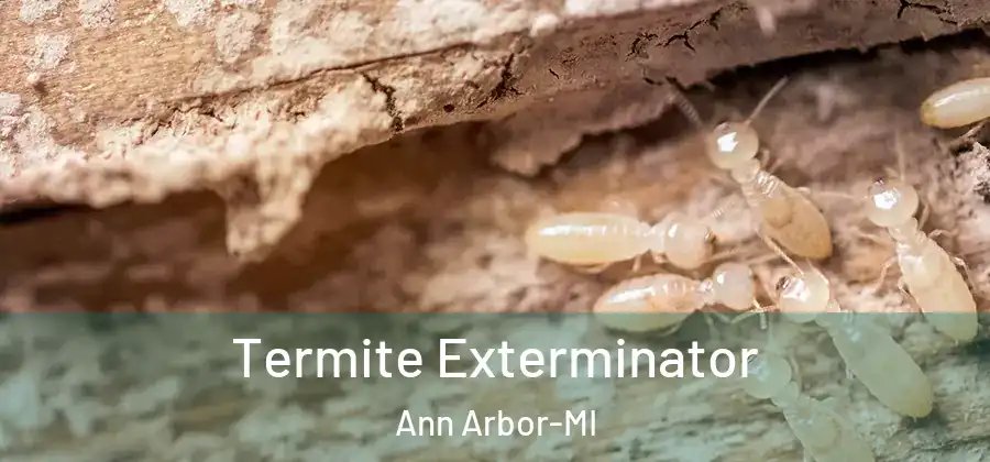 Termite Exterminator Ann Arbor-MI