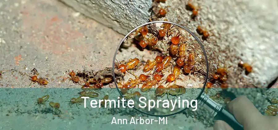 Termite Spraying Ann Arbor-MI