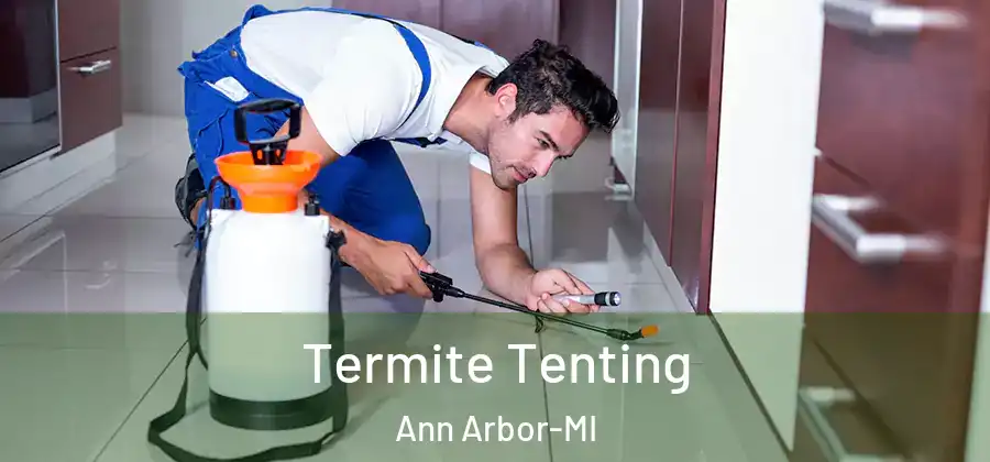 Termite Tenting Ann Arbor-MI