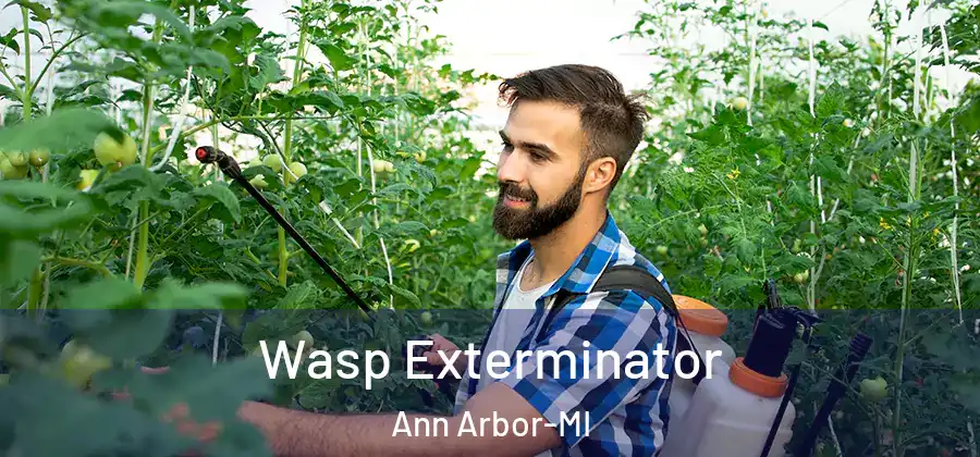Wasp Exterminator Ann Arbor-MI