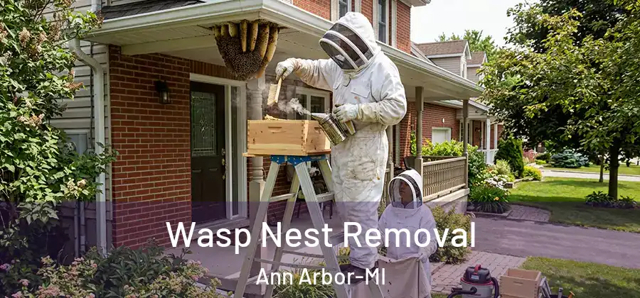  Wasp Nest Removal Ann Arbor-MI