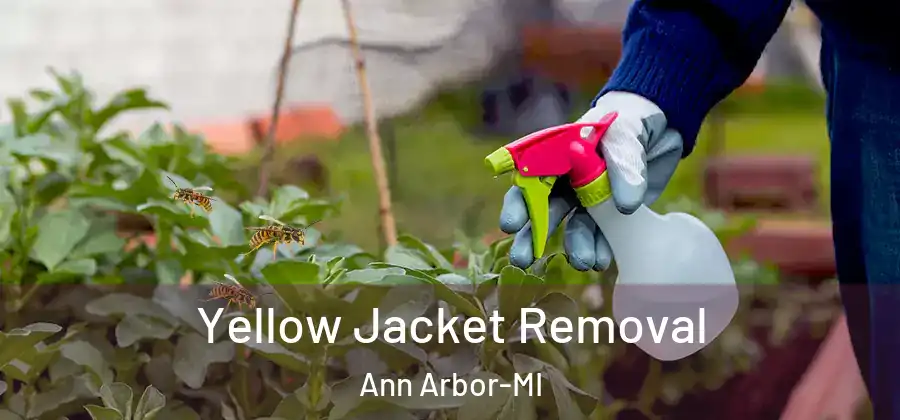 Yellow Jacket Removal Ann Arbor-MI